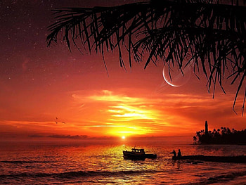 Sunset, sea, nature, beach HD wallpaper