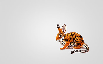 Miscellanea, Miscellaneous, , Drawing, Tiger, Hare HD wallpaper