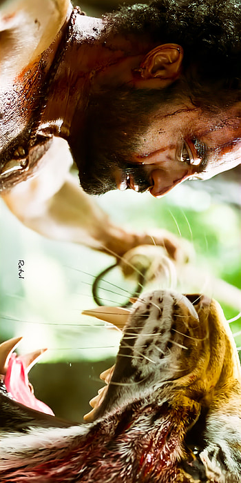 RRR, eye, komaram Bheem, jr NTR, tiger, ntr HD phone wallpaper