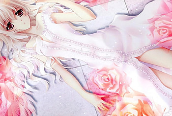 Yuuri Nishiwaki, orginal, white, flower, cute, girl HD wallpaper