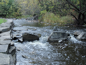 Creek Of Rocks, Creek, graphy, Rocks, Trees, Nature HD wallpaper