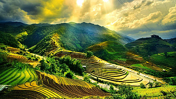 Vietnam War , Military theme, Patriotic ry, Tech backgrounds HD wallpaper