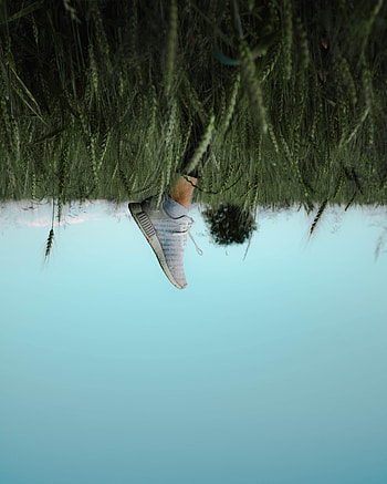 Grass, Sky, Miscellanea, Miscellaneous, Legs, Sneakers, Field HD phone wallpaper