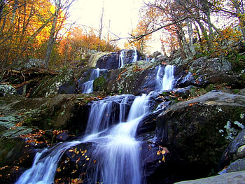 Dark Hollow Falls, falls, trees, water, rock HD wallpaper
