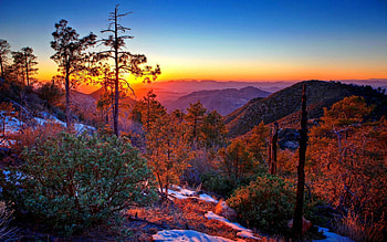 Autumn Sunset, plants, snow, Fall, bushes, trees, Autumn, mountains, sunset HD wallpaper