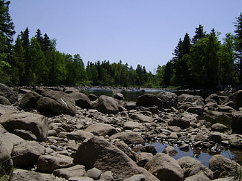 untitle5, trees, rocky HD wallpaper