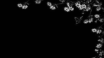 Black And White Aesthetic Laptop , Black and White Aesthetic Lapop HD wallpaper