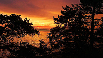 Twilight over The Baltic Sea in Kirkkonummi, Finland, colors, trees, sky, water, cloud HD wallpaper