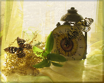 Wings of time, sunny, wings, butterlies, beautiful, numbers, rustic, still life, sunflowers, alarm clock, yellow, clock HD wallpaper