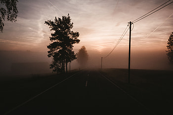 Nature, Trees, Sky, Twilight, Road, Fog, Dusk HD wallpaper