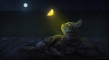Cat And Butterfly, cat, butterfly, artist, artwork, digital-art, deviantart HD wallpaper