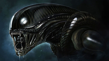 404 Alien HD wallpaper