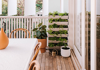 Vertical herb garden, Collective gen, Herb plants, Food HD wallpaper
