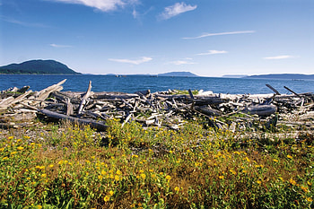 Flights to Lummi Island, Washington HD wallpaper
