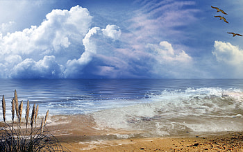 Shoreline HD wallpaper