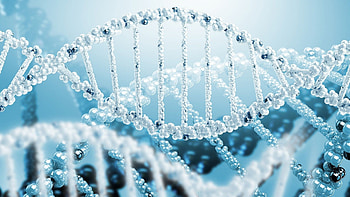 Biology , High-resolution beauty, Captivating visuals, Stunning colors HD wallpaper