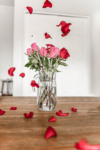 Red roses with petals in a clear glass vase on a wooden table, creating a romantic ambiance. HD phone wallpaper