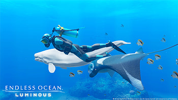 Endless Ocean, Nintendo Switch HD wallpaper