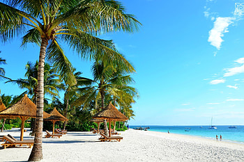Zanzibar Travels, Island paradise, Tourist haven, Pandemic magnet HD wallpaper