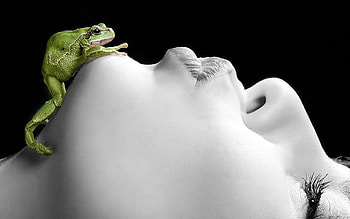 MAGICAL KISS, kiss, nature, frog, graphy HD wallpaper