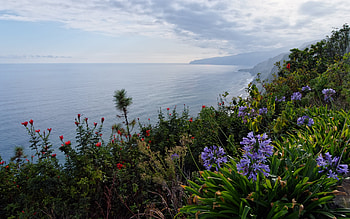 Landscape, Flowers, Sea, Clouds HD wallpaper