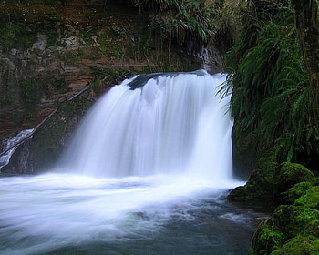Perfection Fallls, falls, trees, water, rock HD wallpaper