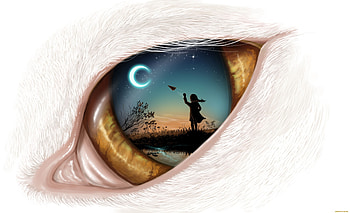 Dream in eye, close up, silhouette, art HD wallpaper