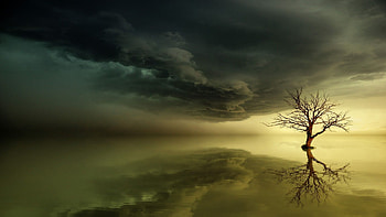 johannes plenio, reflection, sky, water, cloud, tree HD wallpaper