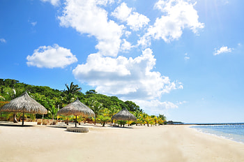 Nature, Beach, Sand, Palms, Tropics HD wallpaper