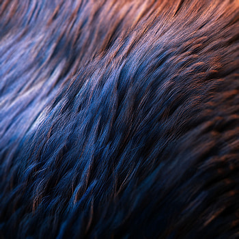 Macro, Texture, Textures, Close-Up, Surface, Wool HD phone wallpaper