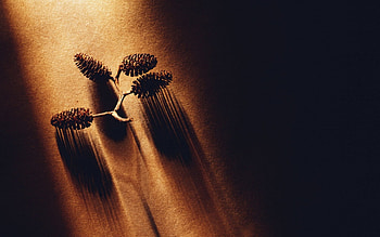 Abstract , , abstract HD wallpaper