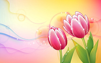 Abstract, Flowers, Background, Shine, Brilliance, Tulip HD wallpaper