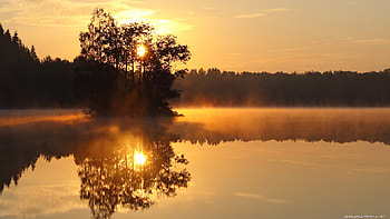Beautiful golden lake, island, awesome, , reflections, sunrise, nice, sunbeam, scenery, 1920x1080, fog, foggy, reflex, isle, silhouette, scenario, sunset, mirror, sunshine, hot, cold, tree, lake, sun rays, shadows, leaves, smoke, nature, leaf, , beautiful day, graphy, morning, , ranches, day, scenic, beautiful morning, amazing, , water, sun, scene, astonish, beautiful, wood, branches, cool, sky, splendor HD wallpaper