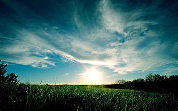 Nature, Grass, Sky, Clouds, Greens, Lawn, Meadow HD wallpaper