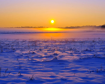 Horizon Sunset, horizon, field, snow, nature, grass, sunset HD wallpaper