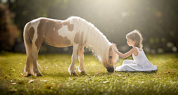 little girl, childhood, blonde, fair, nice, adorable, bonny, sweet, Belle, white, Hair, girl, grass, tree, comely, sightly, pretty, green, face, lovely, pure, child, graphy, cute, baby, , set, Nexus, beauty, kid, Eat, beautiful, people, little, pink, Horse, love, princess, dainty HD wallpaper