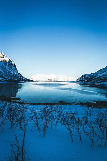 Winter, Nature, Trees, Sky, Mountains, Snow, Lake, Shore, Bank HD phone wallpaper