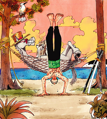 Zoro, Anime, One Piece, Manga HD phone wallpaper