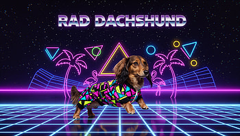 Rad Neon Dachshund — Synthwave, Dachshund HD wallpaper