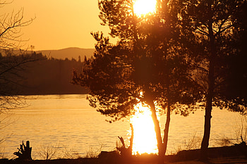 beautiful sunset, river, trees, set, sky, beautiful, sun HD wallpaper