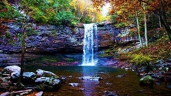 Cherokee Falls - Cloudland Canyon State Park, Georgia, forest, river, leaves, trees, colors, rocks, usa HD wallpaper