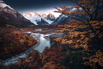 River, nature, water, tree HD wallpaper