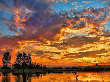Evening serenity, shore, trees, gold and orange clouds, water, reflections, sunset HD wallpaper