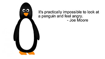 penguins, white, black, quotes, minimalistic, simplistic, grayscale HD wallpaper