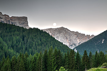 Nature, Trees, Sky, Mountains HD wallpaper