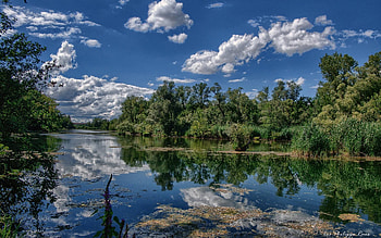 river forest, river, fun, cool, nature, forest HD wallpaper