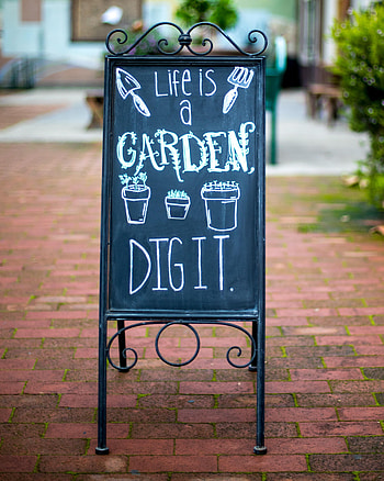 Words, Inscription, Pointer, Sign, Signboard HD phone wallpaper