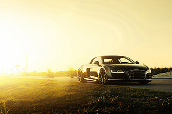 Audi, Cars, Side View, R8, V10 HD wallpaper