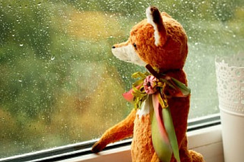 Rainy Day, raining, rain, window, drops, fox, rain drops HD wallpaper
