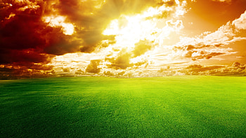 Landscape, Sunset, Fields HD wallpaper